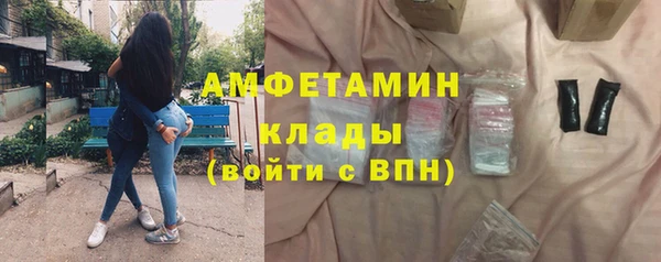 шишки Алексин