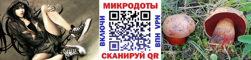 маркетплейс как зайти  Нижний Новгород  Галлюциногенные грибы мицелий 